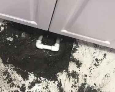 临猗查漏水哪家好
